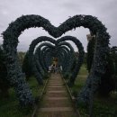 지에스25 대공원월드 | 태안 안면도 몽산포해수욕장 관광지 네이처월드 태안빛축제 주간 야간 투어패스 입장료 후기