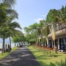 스테이 모어 이미지