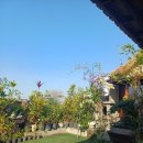 신덕마트 | 우붓 가성비 신상 숙소 추천 루마 찬드리(Rumah Candri)! 로컬 맛집 신덕 와룽(SINDUK WARUNG), 사태 맛집!