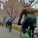 초광산단동로 이미지