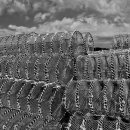 여행사진작가 이미지