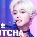 GOTCHA! 갓챠! 이미지