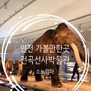 전곡선사박물관 | 경기도 무료 박물관 추천｜전곡선사박물관 어린이 체험 리얼 후기