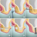 바른정치과의원 이미지
