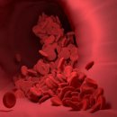 "나쁜 콜레스테롤 LDL 낮추면 치매 위험 최대 28% 감소" 이미지