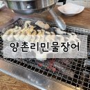 양촌리민물장어 이미지