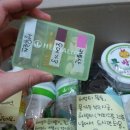 콩 허브 다이어트