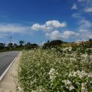 정감이마을 이미지