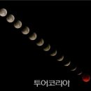 블루문투어 이미지