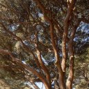 개심사입구 주차장 | 충청남도 서산의 보물: 웅도, 개심사, 간월암 완벽 코스