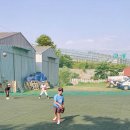 야구연습장 이미지