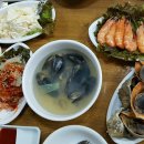 맘모스회센타14호