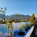 낙동강변25 이미지