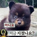 한나무투어 이미지