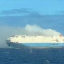 펠리시티 이미지