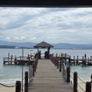 섬 | 코타키나발루 자유여행 가장 추천하는 마무틱섬후기