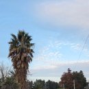 서ㆍ호근동 이미지