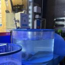 해수바다이야기 이미지