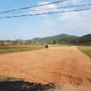 영광잔디 이미지