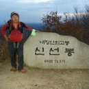 행복한나들이 이미지