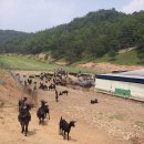 칠량농장 이미지