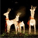 굿라이프 이미지