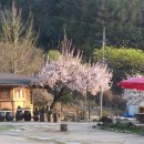 주주펜션 이미지