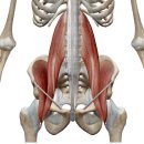 메이드핏 이미지