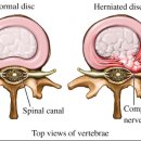 혜민동물병원 이미지