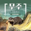 무주만나작은도서관 | 무주 가볼 만한 곳 / 데이트 코스로도 좋은 작은 생태박물관, 무주반디랜드