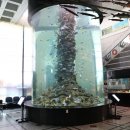 수산과학관 이미지