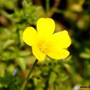 풍경(오월의 이야기 이미지