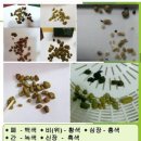 우리동네힐링샵 이미지