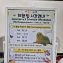 토이빌리지 | 대구 토이빌리지 방문 후기