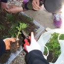 여난농장 이미지