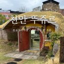 [천안] 빵순이를 위한 최고의 장소 뚜쥬루 빵돌가마점 : 주차 메뉴 거북이빵 후기