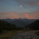 진달래산천 이미지