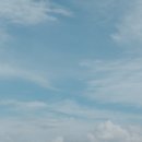 에이프릴플라워 | 웃다 끝난 제주 웨딩스냅, 에이프릴텐 10월 말 촬영 내돈내산 추천 후기