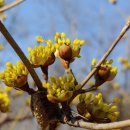 중마루공원 이미지