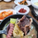 신안산낙지 | [서울 관악 갈낙탕 맛집 추천, 신안 산낙지] 갈비+낙지+전복 15,000원 가성비 점심 후기