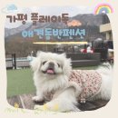 플레이독애견카페 | [경기도 가평] 플레이독 애견 풀빌라 방문 후기 104호 아침 고요수목원 근처 내 돈 내산