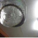 상수도사업본부 북부사업소 이미지