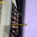 국제라지에타 이미지