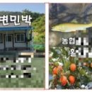 사계절 바다 민박 이미지