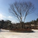 신흥문화공원 이미지