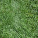 초원축산 | 2026 히잉페스티벌 제주마입목문화축제 후기, 몰아치는 비바람