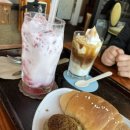 나무커피 이미지