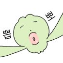 안녕댕댕쓰 이미지