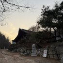 김포 절 신라 진흥왕 때 창건된 금정사 방문후기