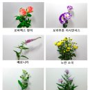 오다, 꽃 네이버블로그